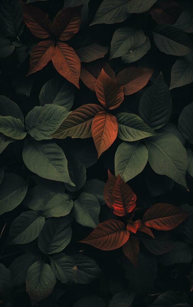 fondo de hojas de otoño foto