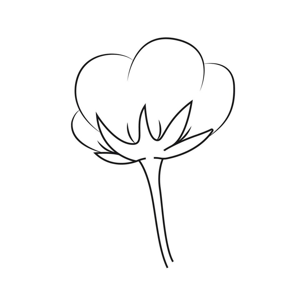 Vector illustration of cotton plant.