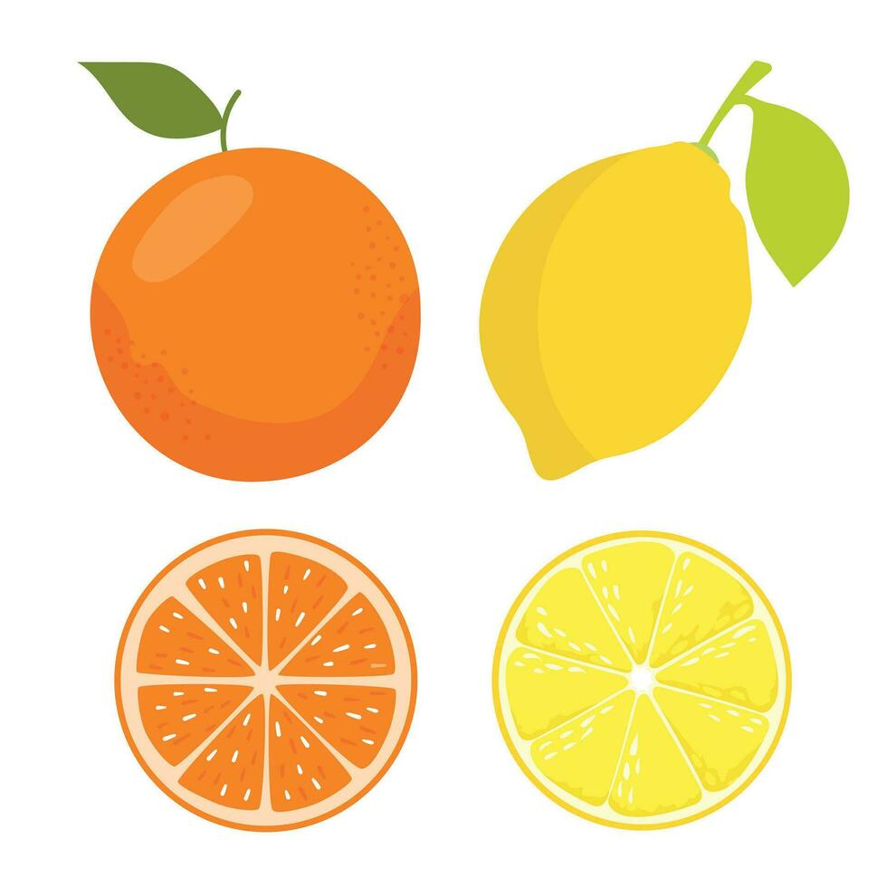 Lemon and oranges. Slices and whole lemon and orange fruits with stem and leaf. vector