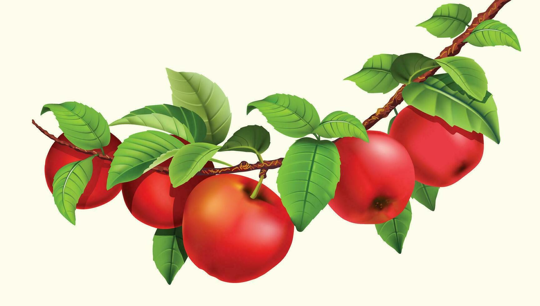 Apple fruits in red color green leaves vector shape for background design.