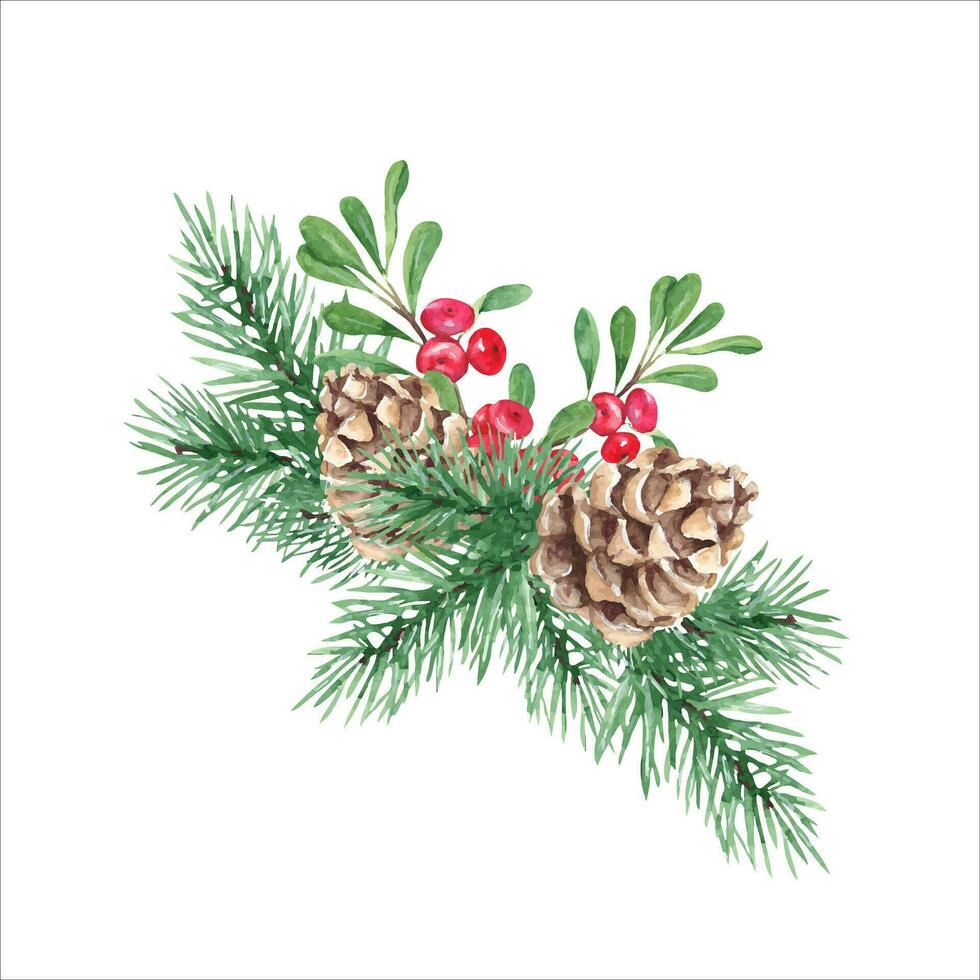 Winter plants composition. Forest pine branches with cone, cowberry, lingonberry branch with green leaves and red berries. Symbols of the New year and Christmas. Watercolor hand painted illustration vector