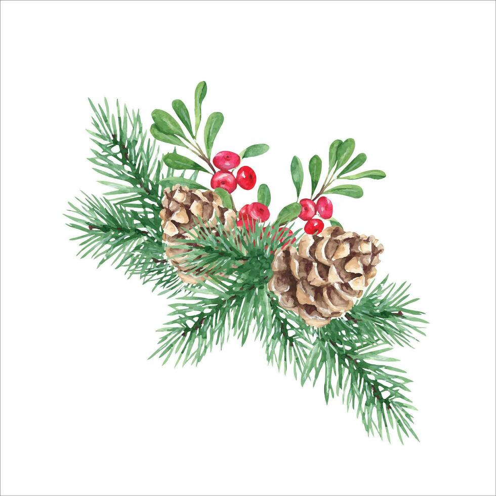 invierno plantas composición. bosque pino ramas con cono, airela, arándano rojo rama con verde hojas y rojo bayas. símbolos de el nuevo año y Navidad. acuarela mano pintado ilustración vector