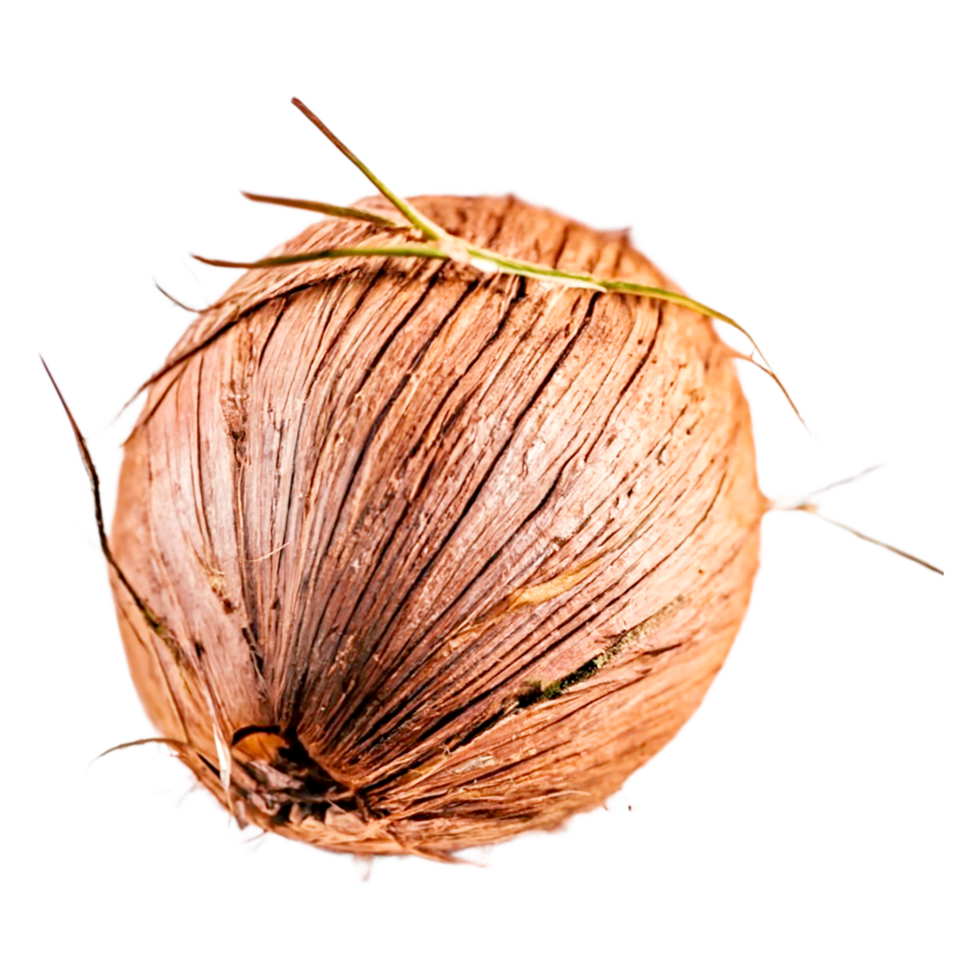 Coconuts. AI Generative png
