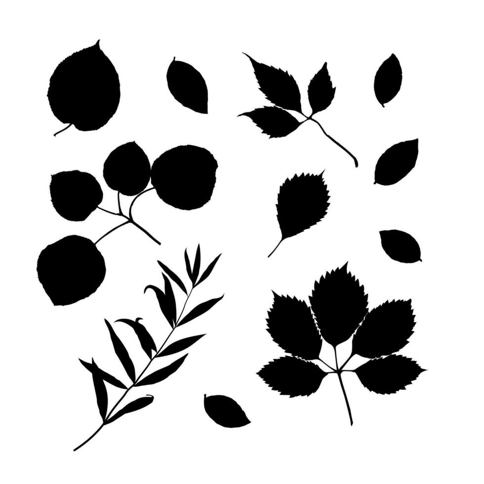 Leaves black silhouettes isolated on white background set. Vector illustration.