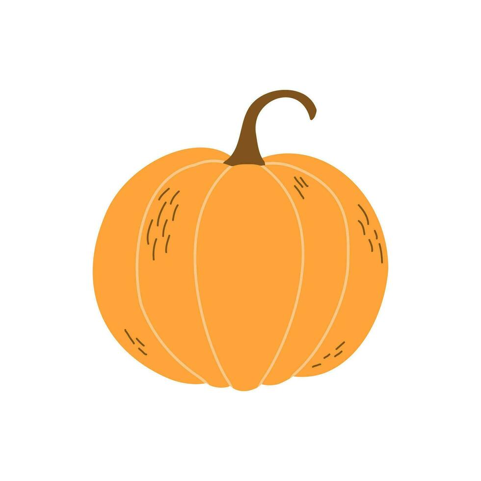 Hand drawn pumpkin. Flat vector illustration isolated on white background. EPS10