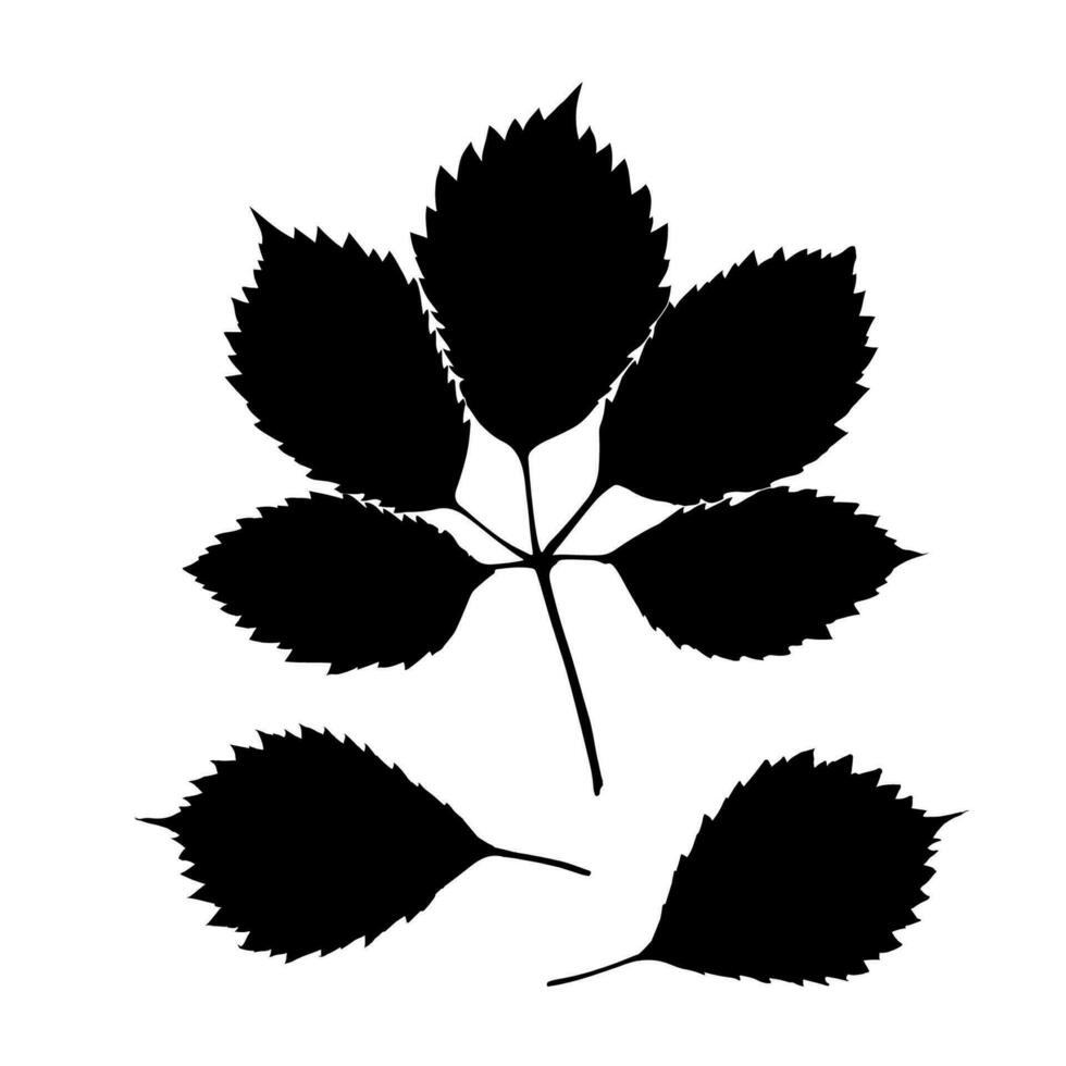 Wild grapes leaf outline vector icon. Ecology concept. Isolated black on white background.