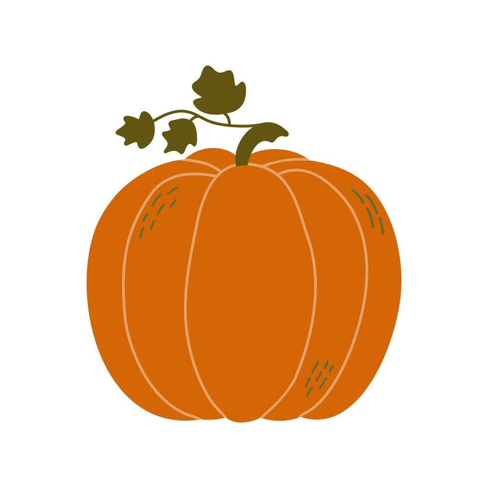 Hand drawn pumpkin. Flat vector illustration isolated on white background. EPS10