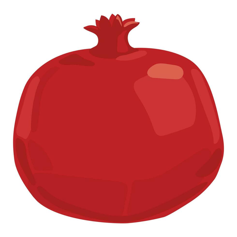 Ripe pomegranate fruit vector illustration. Isolated white background. Red pomegranate in a flat style. Southern fruit.
