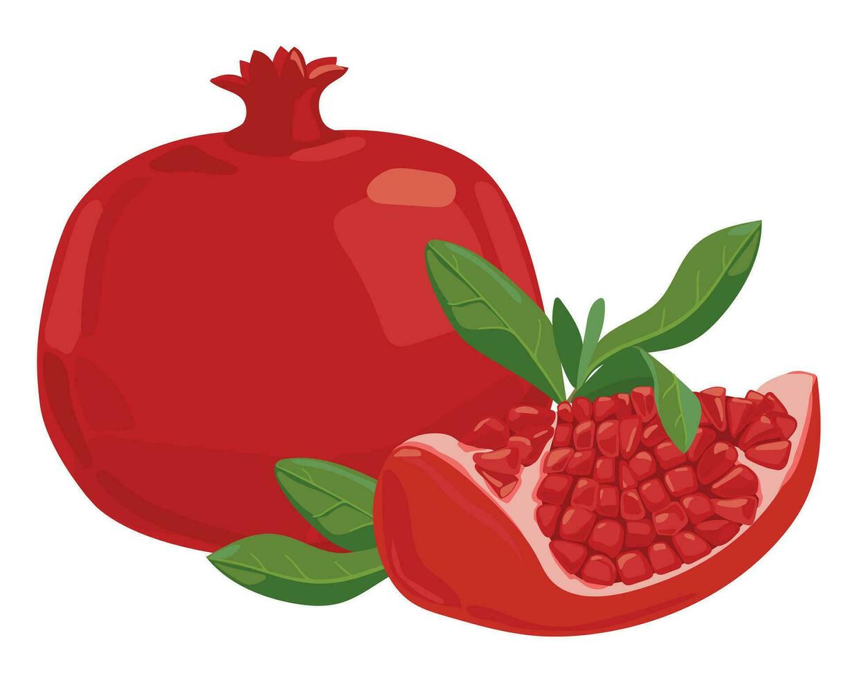 Ripe pomegranate fruit with leaves vector illustration. Isolated white background. Red pomegranate in a flat style. Sliced grenade. Southern fruit.
