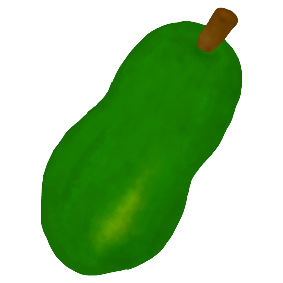 Papaya on transparent background png