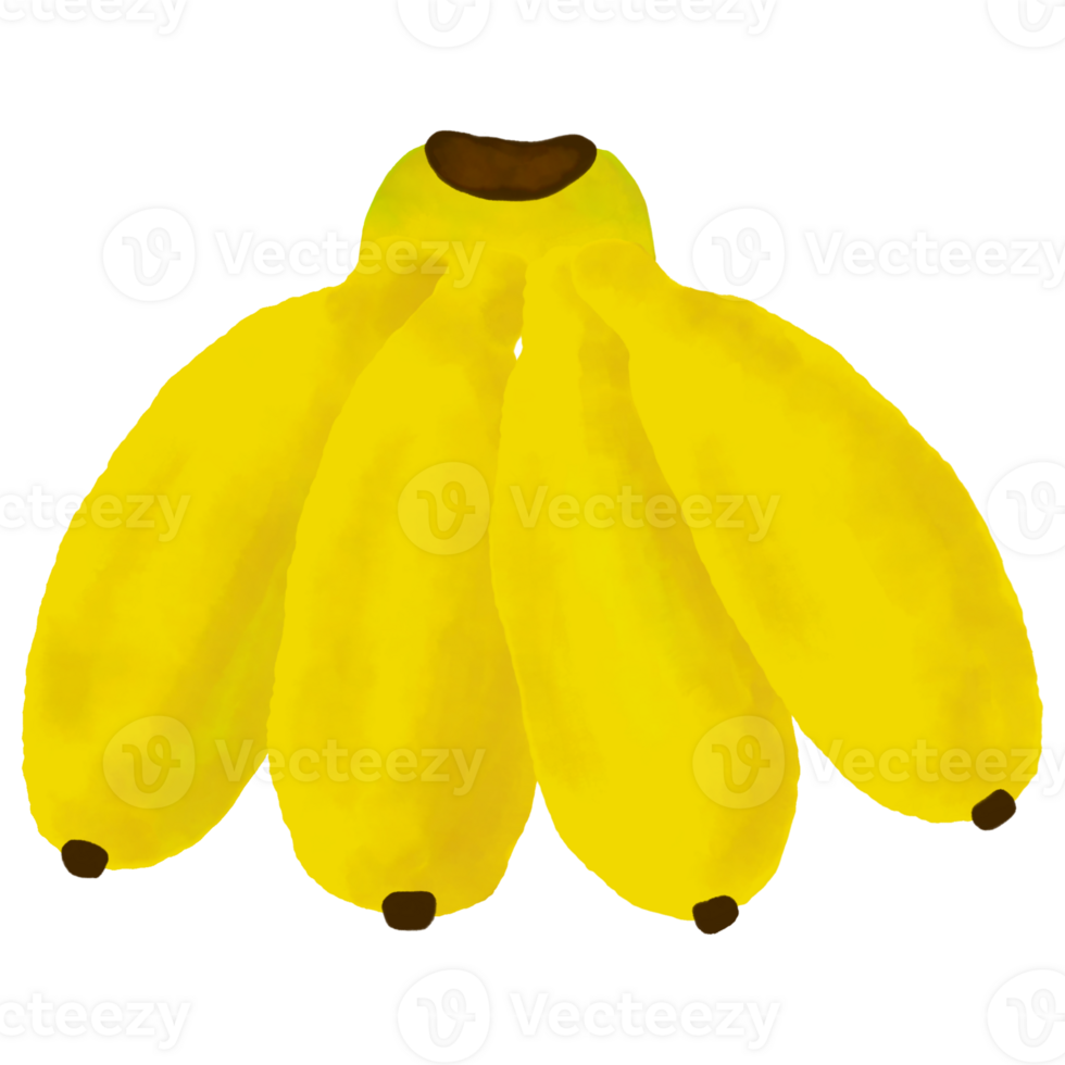 Bunch of bananas on transparent background png