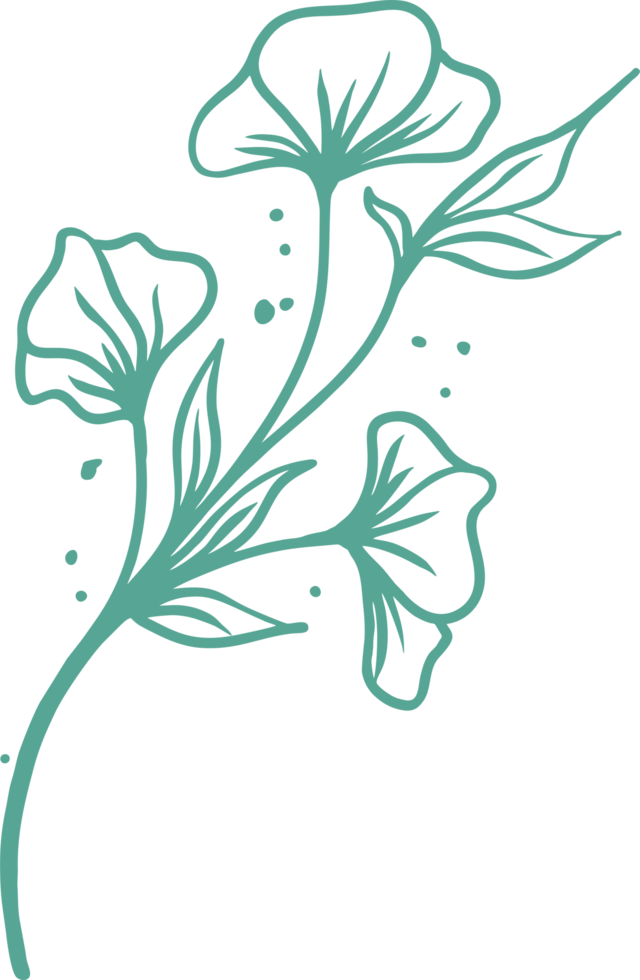 Botanical floral elements PNG