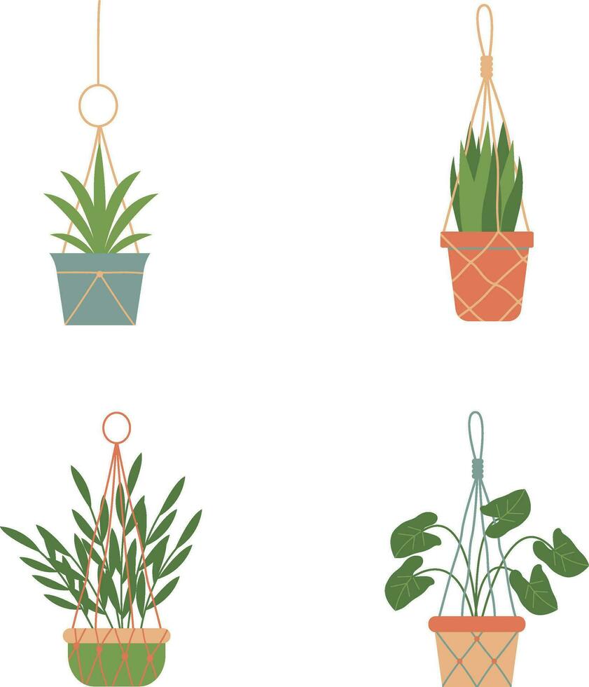 Hanging Potted Plant With Different Type Plant. Vector Illustration Set.