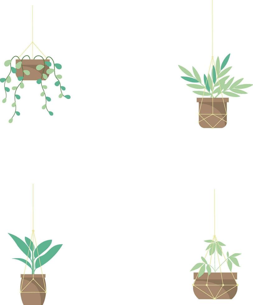 Hanging Potted Plant In White Background. Vector Illustration Set.