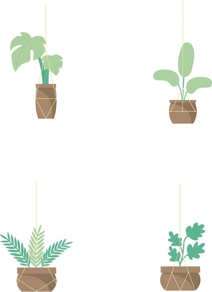 Hanging Potted Plant In White Background. Vector Illustration Set.