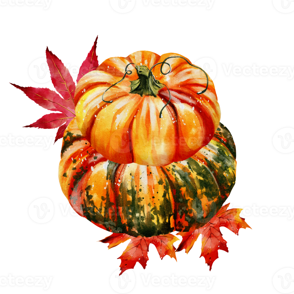 Autumn pumpkins watercolor png