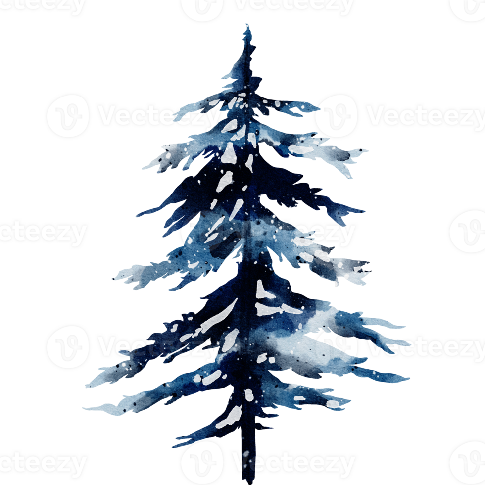 Winter tree watercolor png