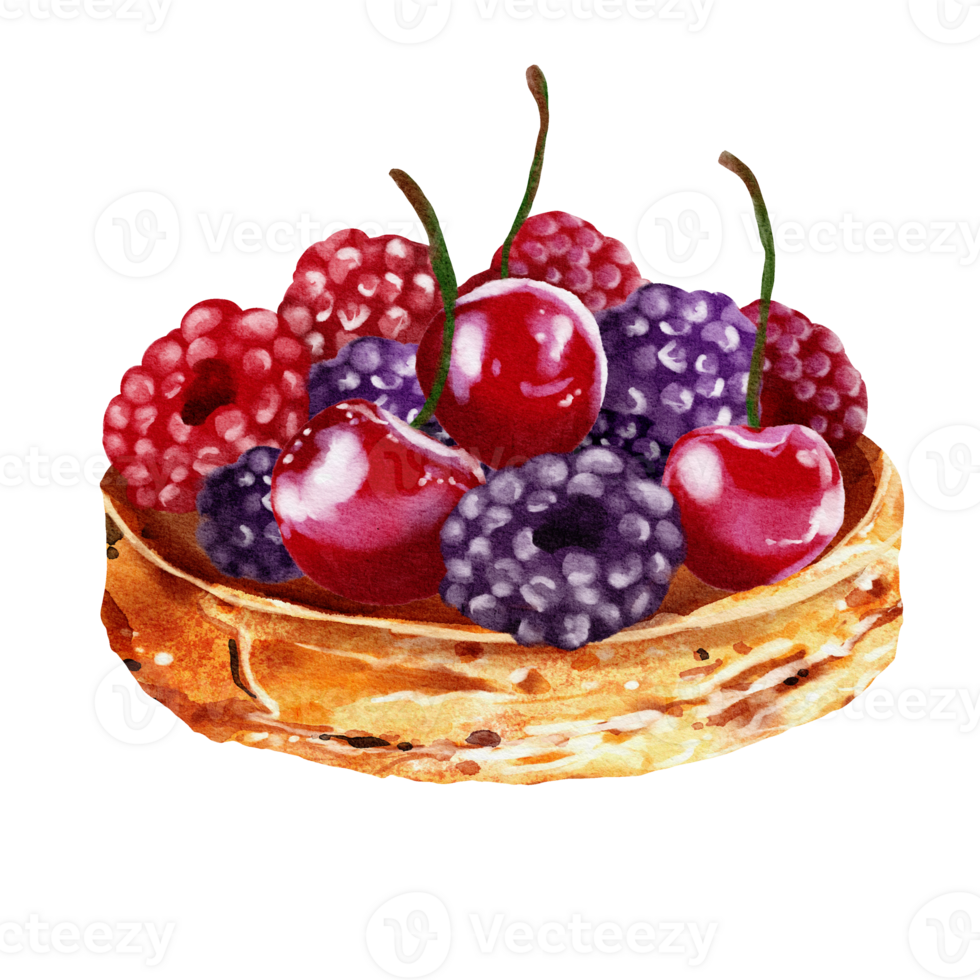 Berry tart watercolor png