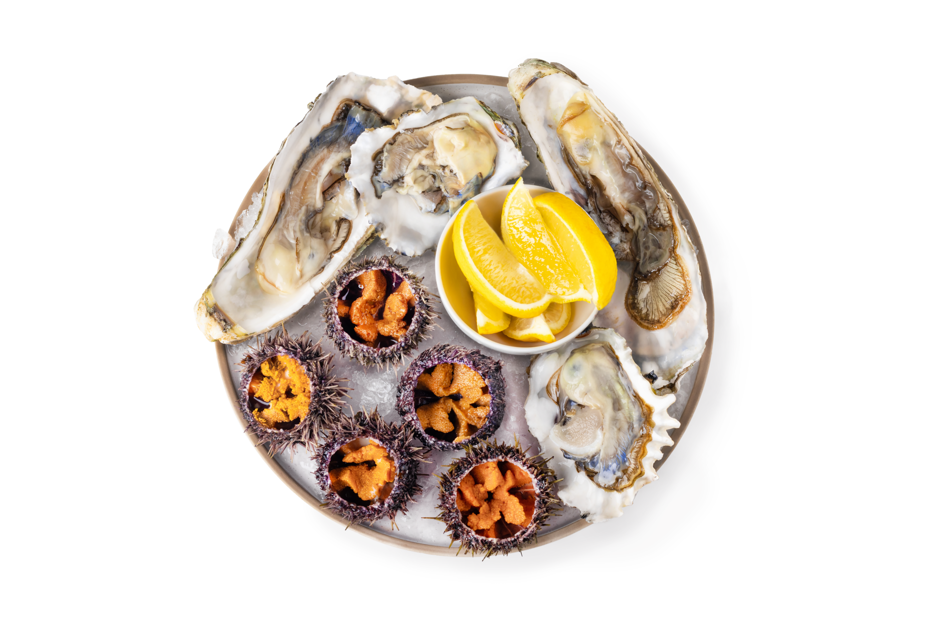 fresh seafood platter, Raw sea urchin and oysterson white or invisible