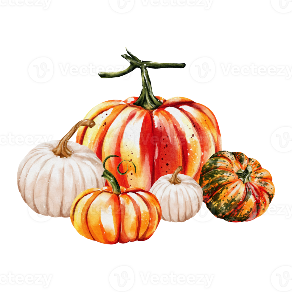 Autumn pumpkins watercolor png
