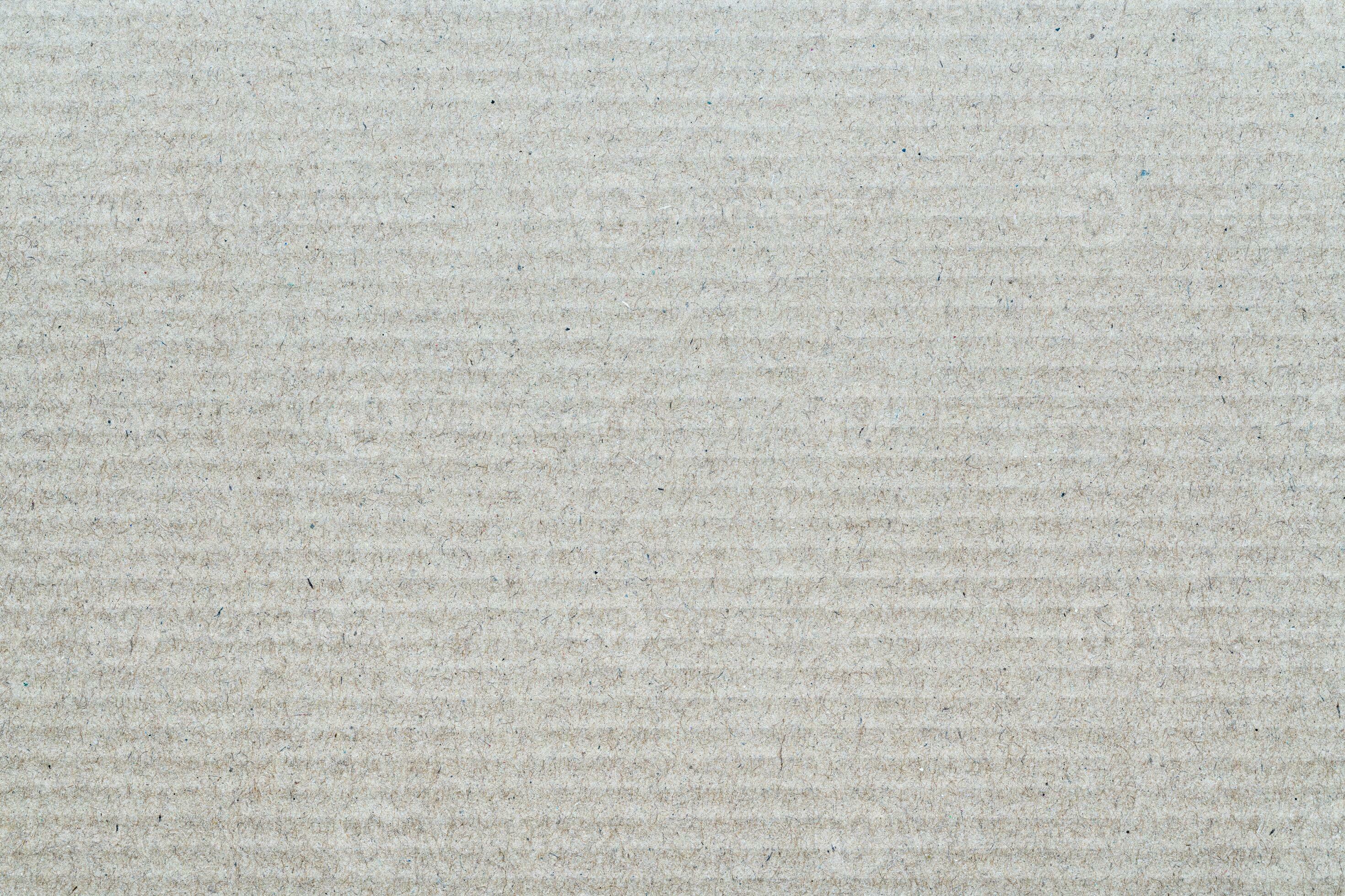 Gray texture sheet of recycled cardboard. Closeup background carton