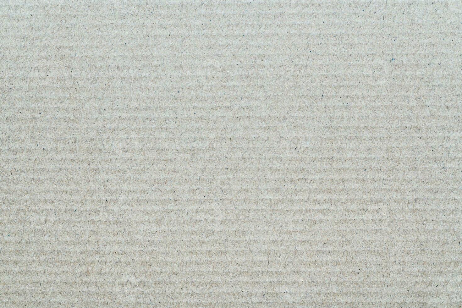 Gray texture sheet of recycled cardboard. Close-up background carton pattern photo