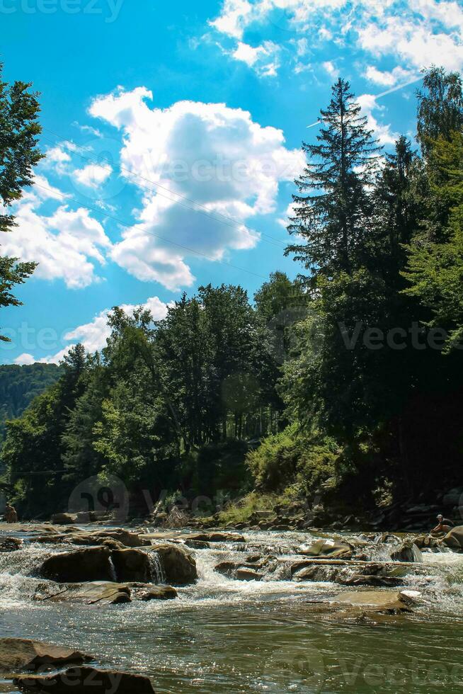 Pine Forest with Mountain River. Refreshing River Waters Flowing through Scenic Mountain Landscape. Nature's Hiking Pit Stop. Untouched Nature of the Carpathians. Murmuring of Water Brook photo