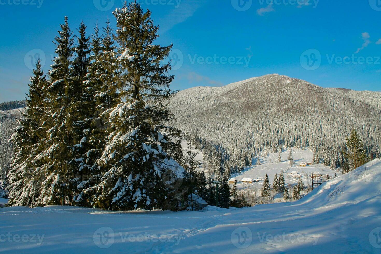 Winter landscape of a snowy forest on a sunny day in the Carpathian mountains. Fresh snow in the mountains in the morning sunlight. Christmas background, new year atmosphere photo