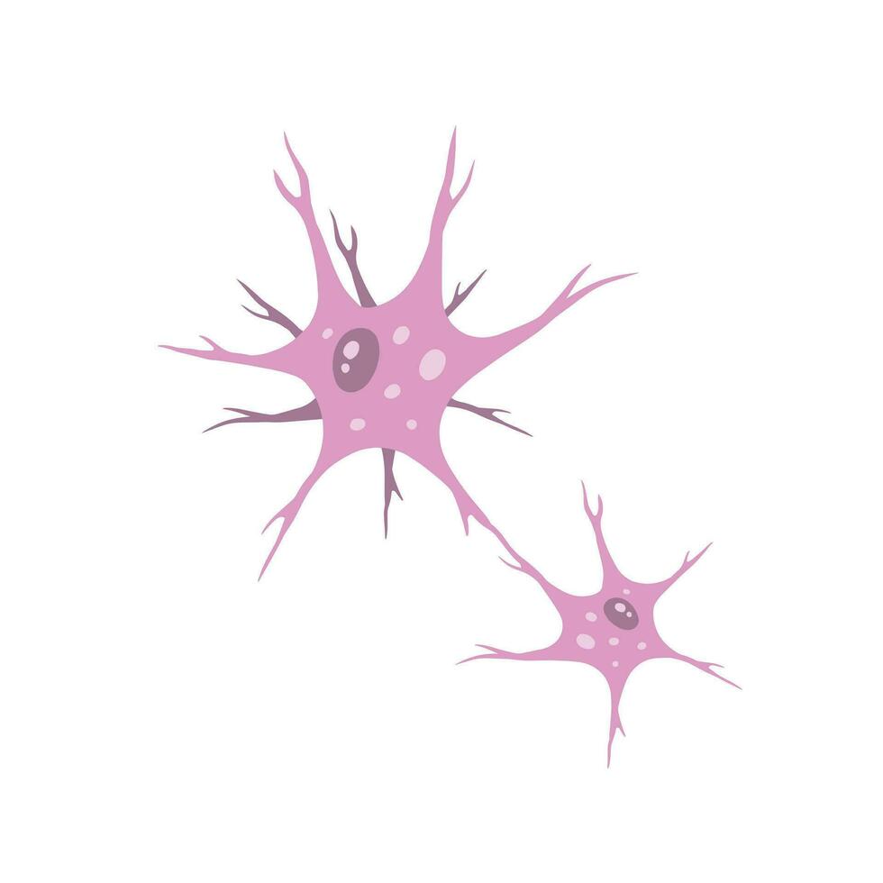 Neuron cell. Brain activity and dendrites. Membrane and the nucleus. Medical Concept of memory and connection. Educational illustration isolated on white vector