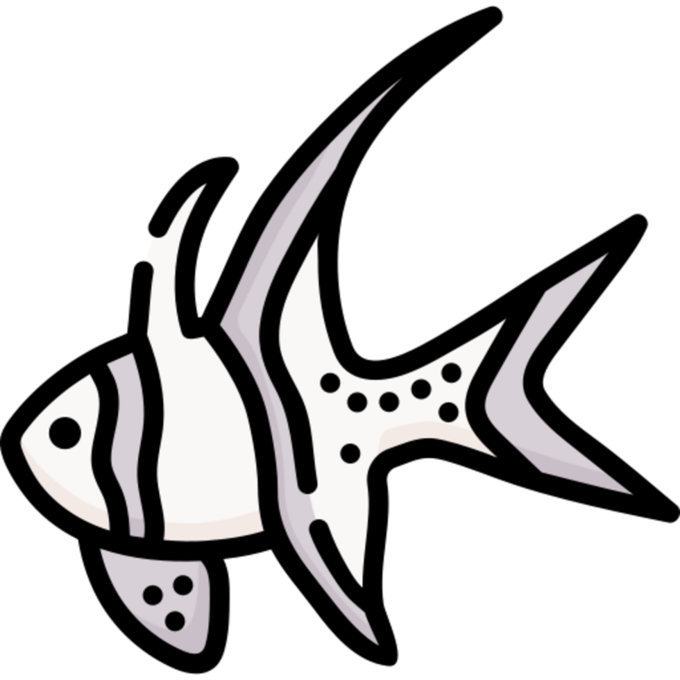 banggai cardinalfish icon design png