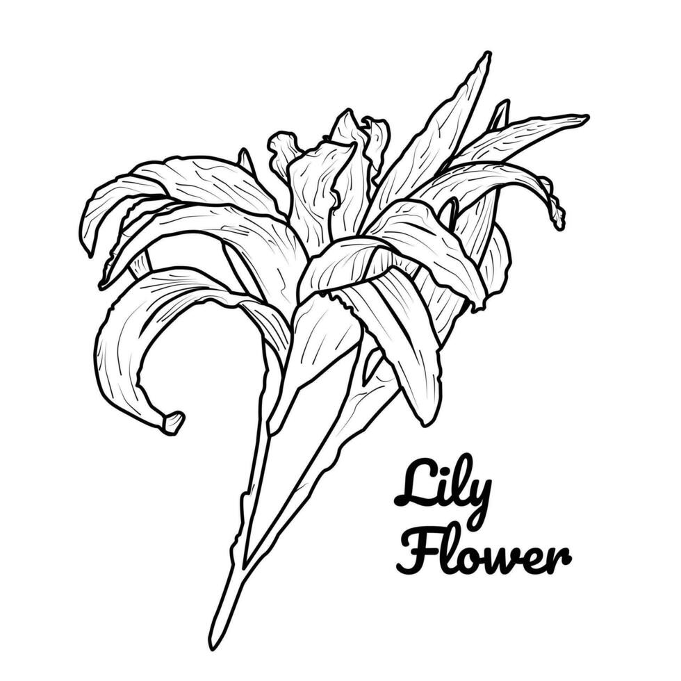 Lily Flower Vector Clipart Black Icon Easy Vector Editable