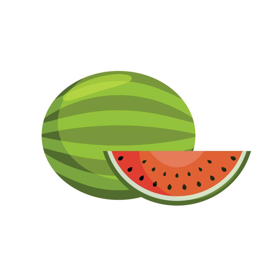Green watermelon and half watermelon with pits on white background vector