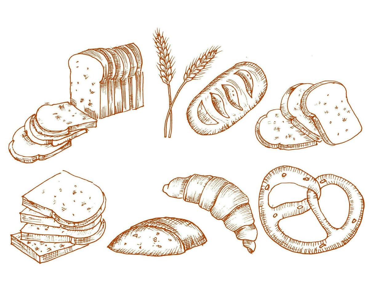Hand Drawn Bread and Wheat Grass Set vector