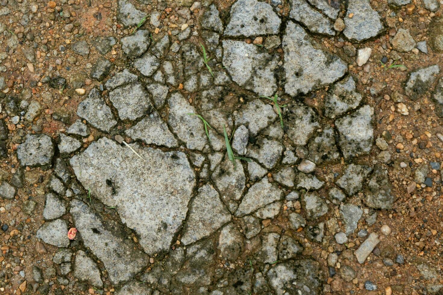 Grunge cement concrete walls or floors with crack. Abstract background of crack concrete wall. Cracked concrete texture closeup background. photo