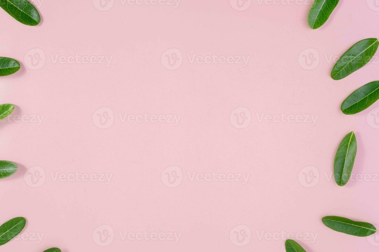 Background frame with small green leaves on a pink background. photo