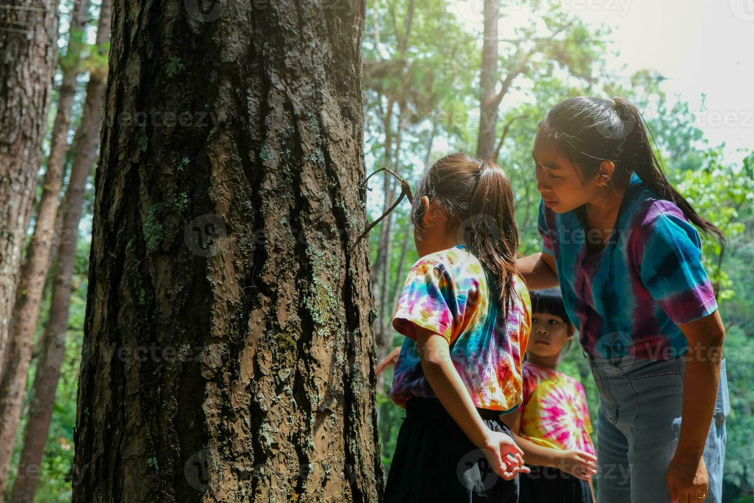 Happy mother and little girl touching the trunk of a big old tree. Green environmentally friendly lifestyle. Love and protect nature concept. photo