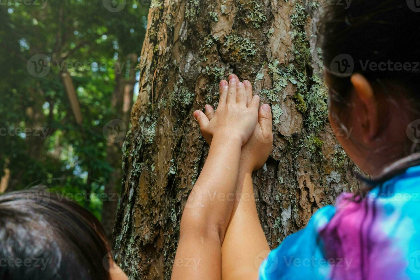 el manos de un madre y un pequeño niña toque un antiguo árbol en un grande árbol trompa. verde ambientalmente simpático estilo de vida. amor y proteger naturaleza concepto. foto
