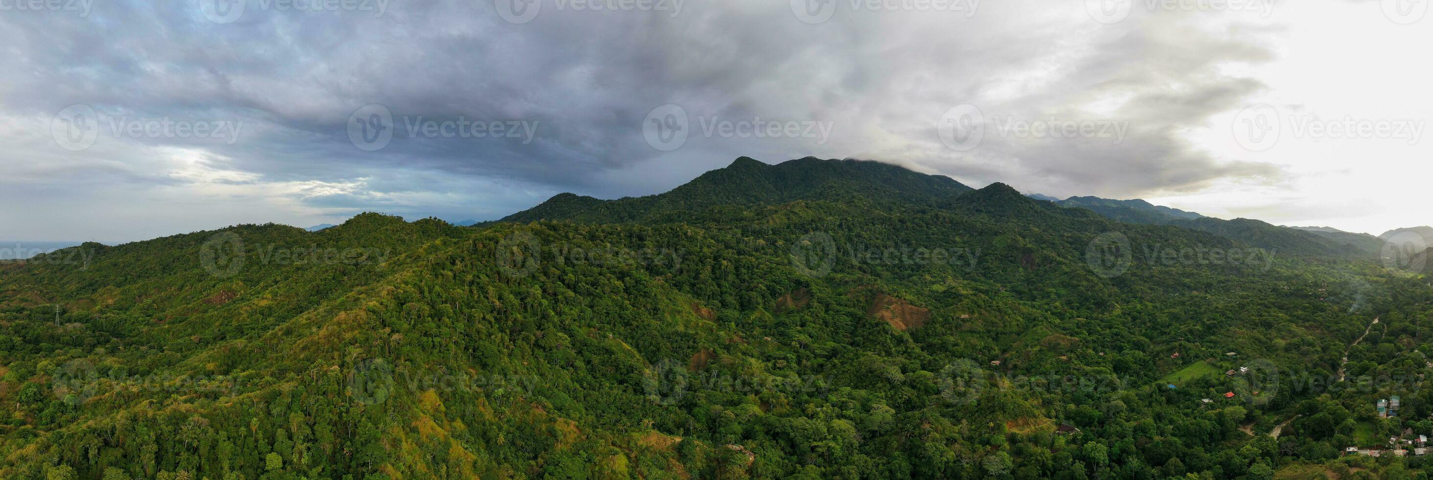 Nature - Santa Marta, Colombia photo