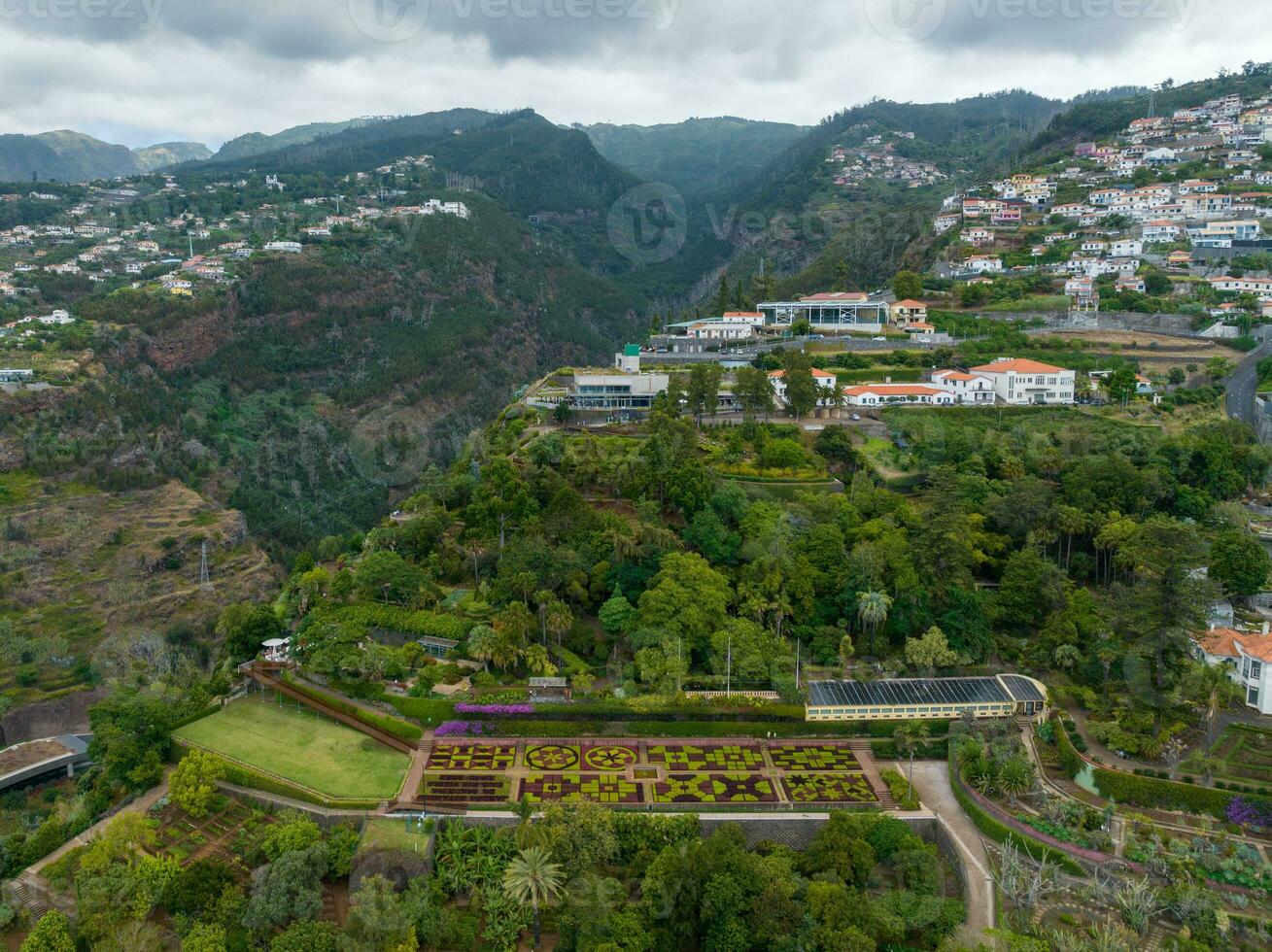 botánico jardín monte - funchal, Portugal foto