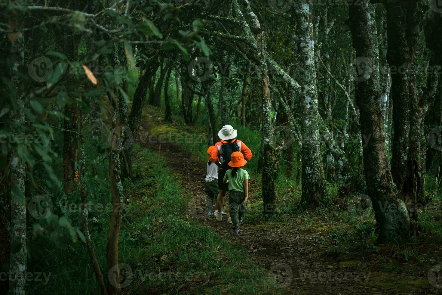 Happy young woman with her daughter walking on a field trip together in the mountains. Family on a hiking adventure through the forest. Parents teach their children about nature and plants. photo