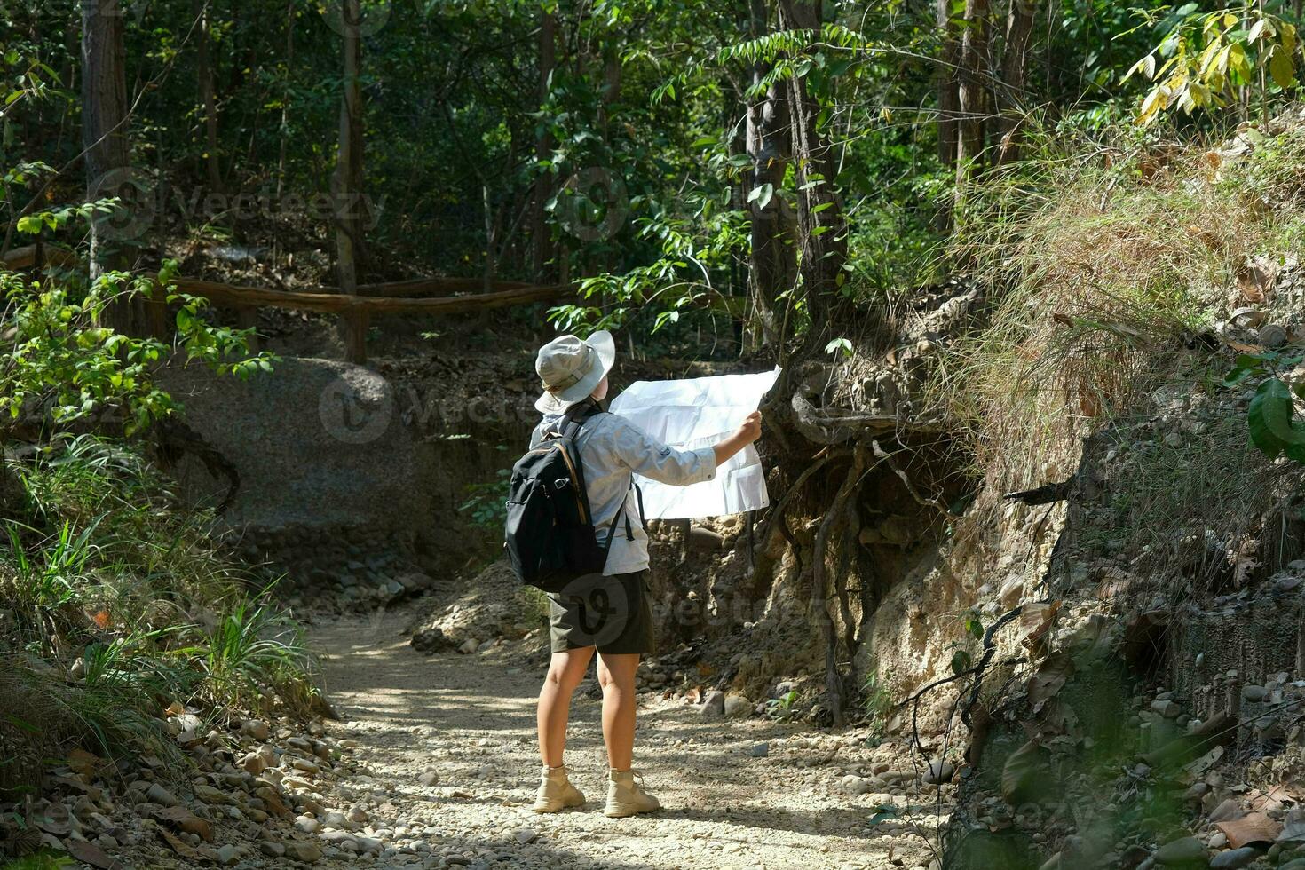 Female geologist using a map, examining a natural path and analyzing rocks or gravel. Researchers collect samples of biological materials. Environmental and ecology research. photo