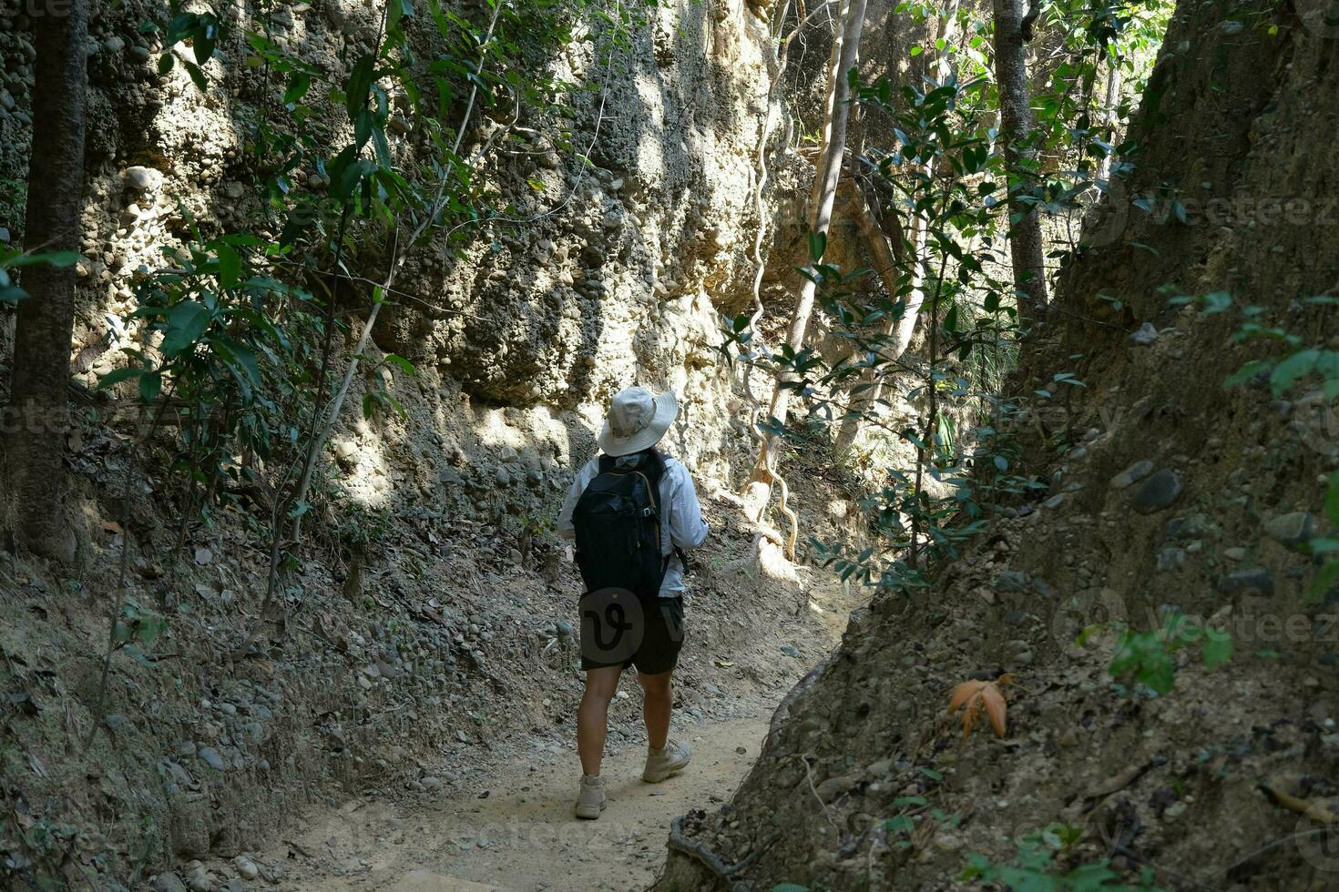 Female geologist with backpack exploring nature trail in forest and analyzing rock or gravel. Researchers collect samples of biological materials. Environmental and ecology research. photo