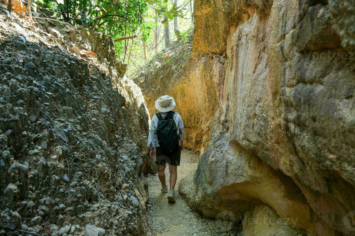 Female geologist with backpack exploring nature trail in forest and analyzing rock or gravel. Researchers collect samples of biological materials. Environmental and ecology research. photo