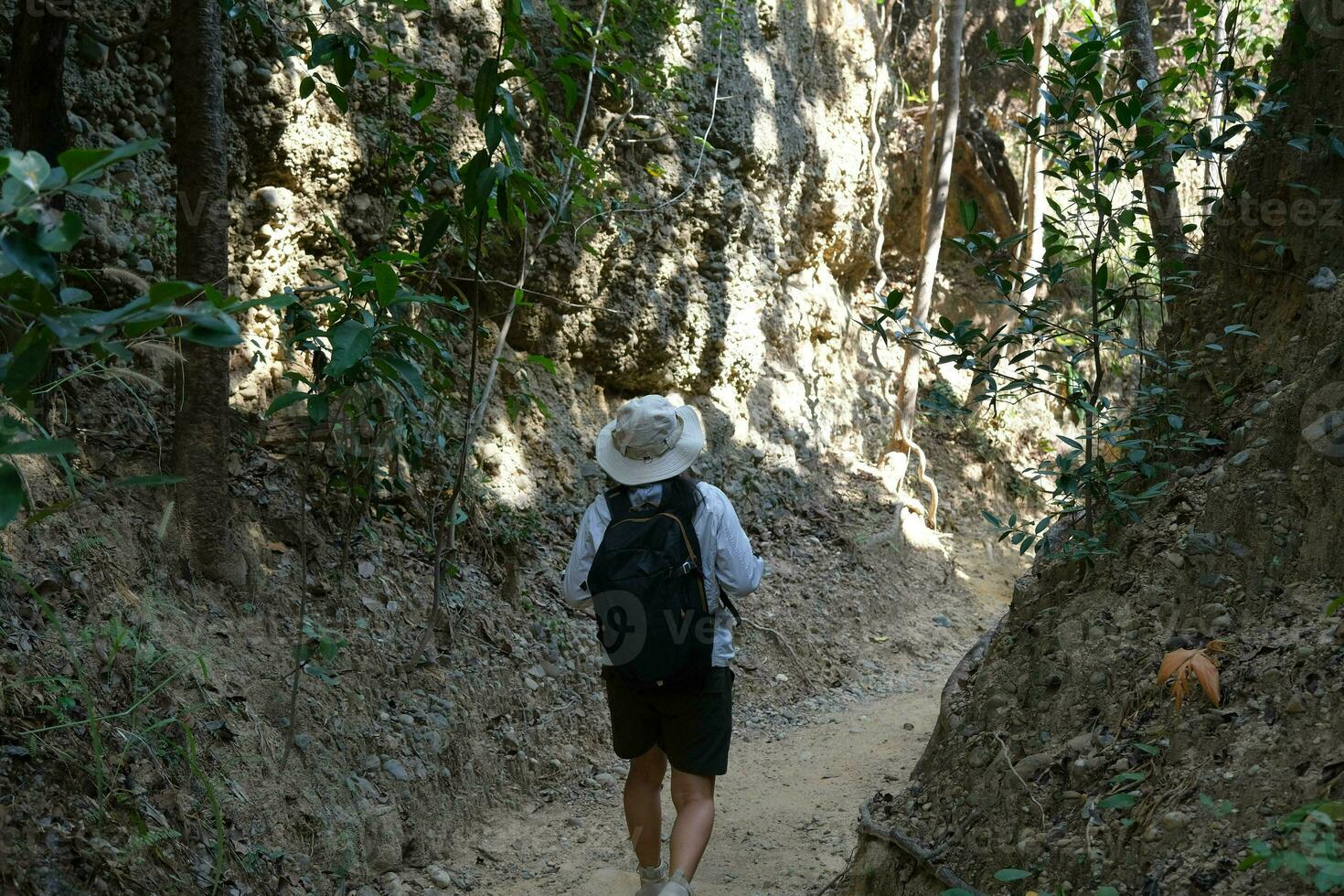 Female geologist with backpack exploring nature trail in forest and analyzing rock or gravel. Researchers collect samples of biological materials. Environmental and ecology research. photo