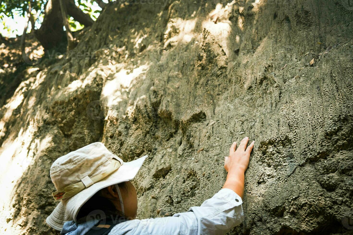 Female geologist with backpack exploring nature trail in forest and analyzing rock or gravel. Researchers collect samples of biological materials. Environmental and ecology research. photo
