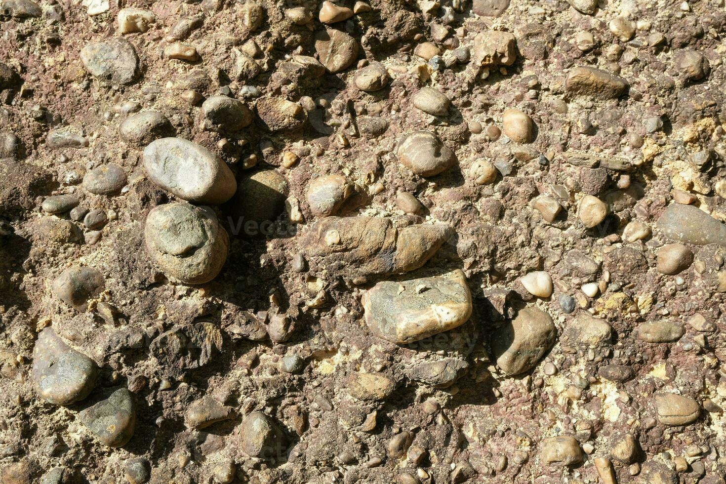Close up of the cliff stone surface, a natural phenomenon caused by the erosion of the sediment that flows along the watercourse, forming a sedimentary layer with rounded river rocks embedded in it. photo