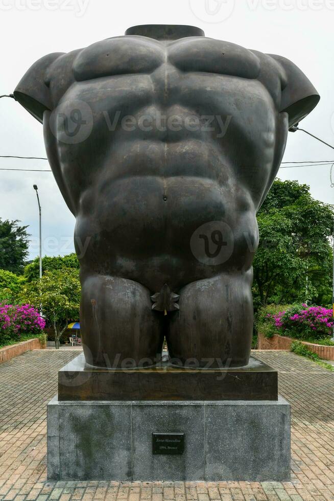 Male Torso - San Antonio Park photo