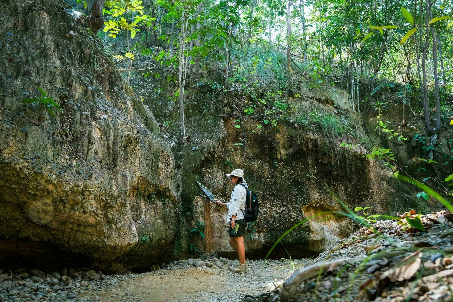 Female geologist with backpack exploring nature trail in forest and analyzing rock or gravel. Researchers collect samples of biological materials. Environmental and ecology research. photo