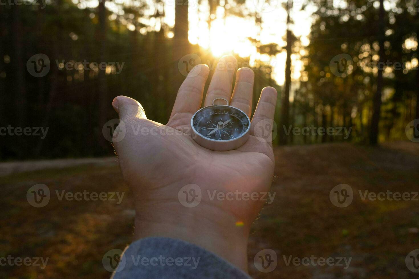 brújula en mano sobre fondo de bosque de pino natural. mano que sostiene la brújula en el paisaje forestal. joven viajero buscando dirección con brújula en las montañas de verano. foto