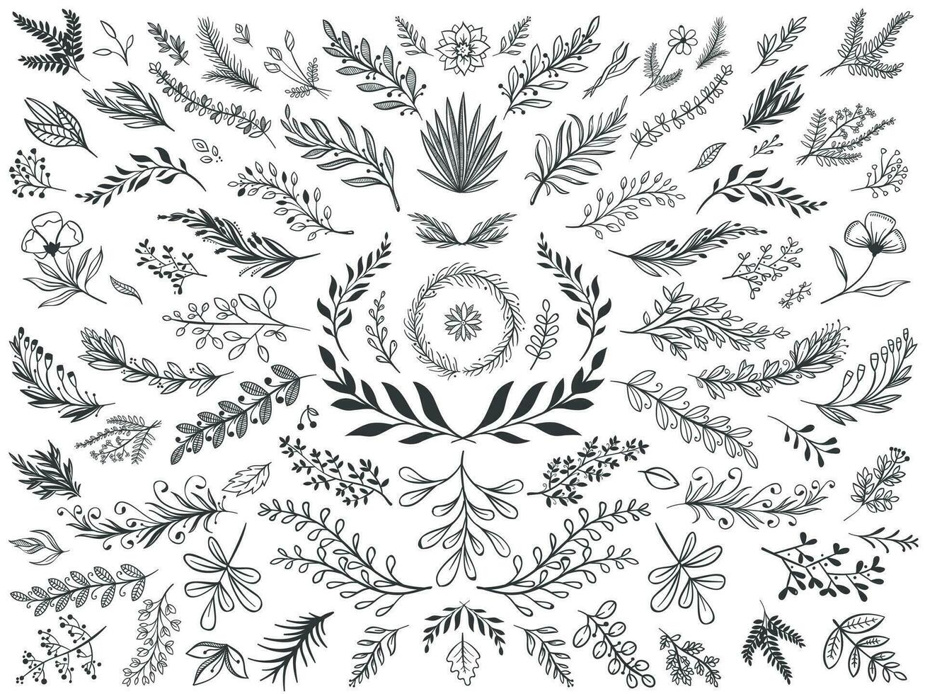 Hand drawn floral decor leaves. Sketch ornamental branches, decorative leafs and flowers vector illustration set